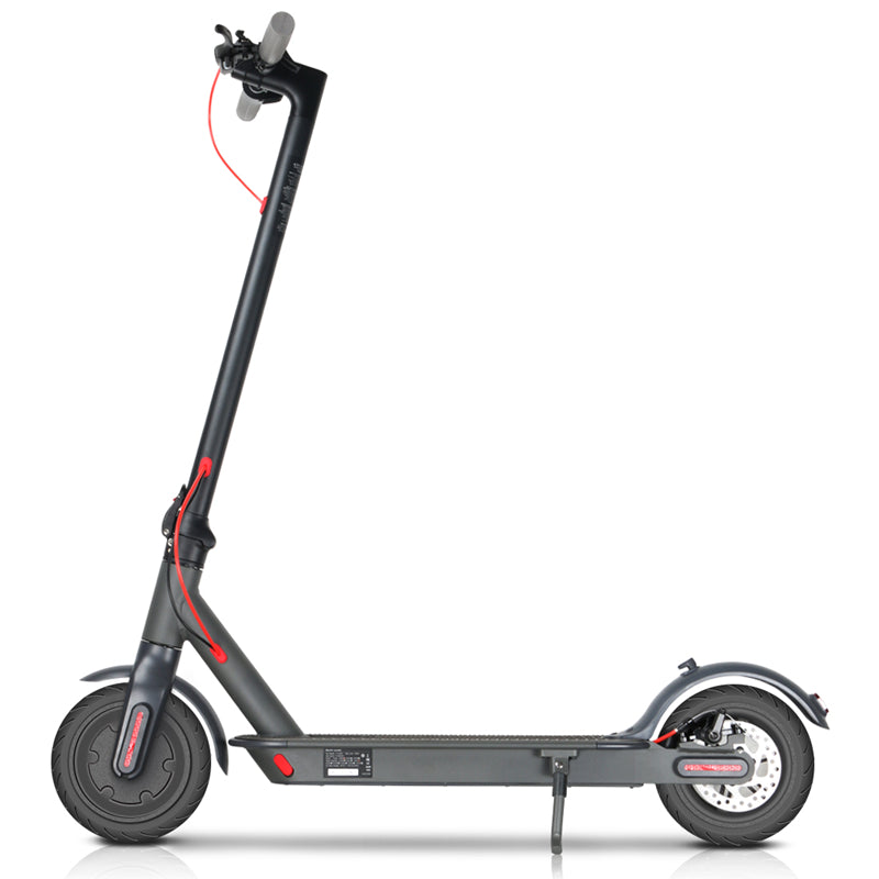 Portable Folding Adult Motorized Electric Powered Scooter 350W