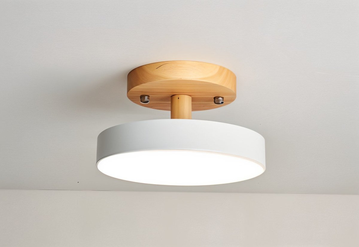 Ashane Ceiling Light