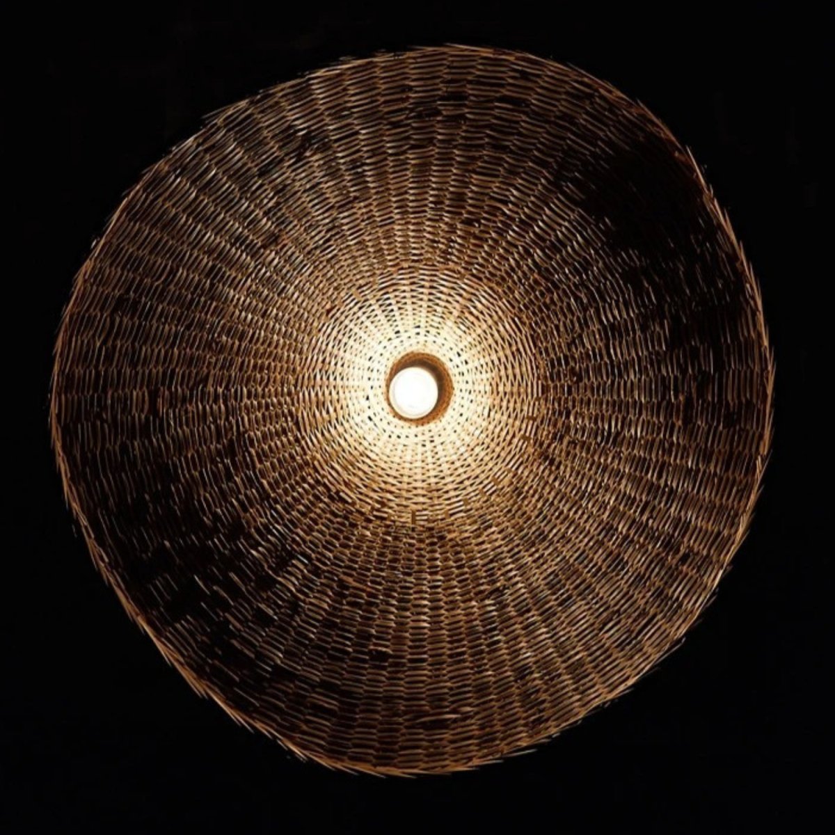 Ciora Pendant Light