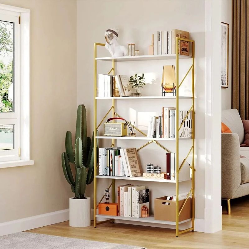 Phane Book Shelf