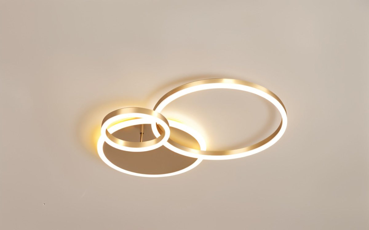 Roshan Ceiling light