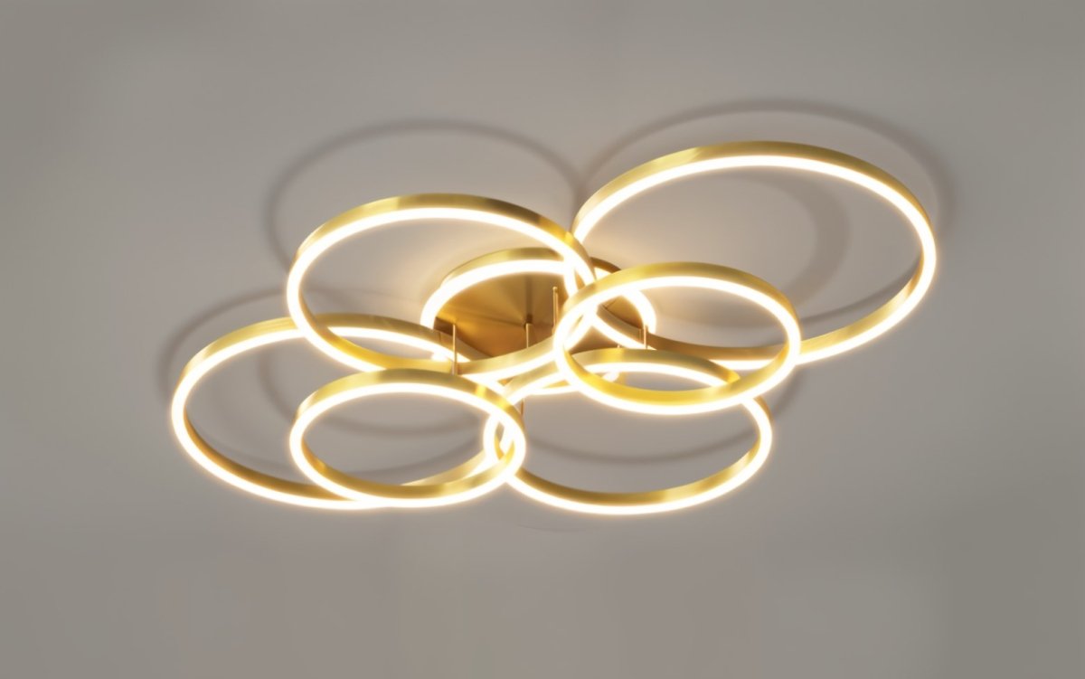 Roshan Ceiling light