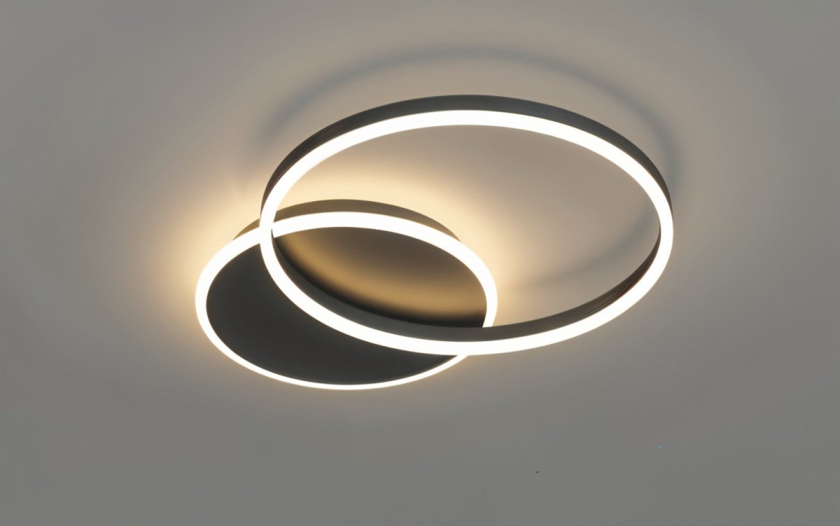 Roshan Ceiling light