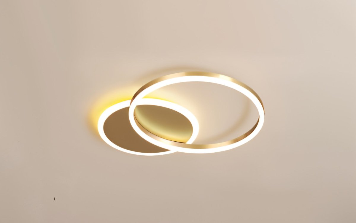 Roshan Ceiling light