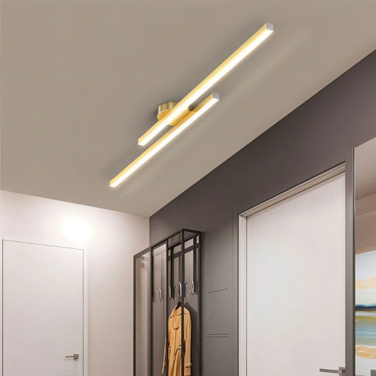 Sharan Ceiling Light