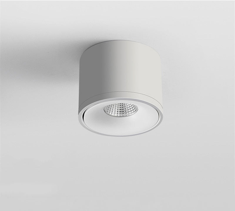 Sidra Ceiling Light - Open Box