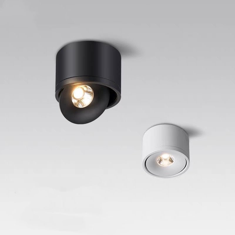 Sidra Ceiling Light - Open Box