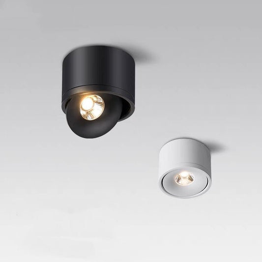 Sidra Ceiling Light - Open Box