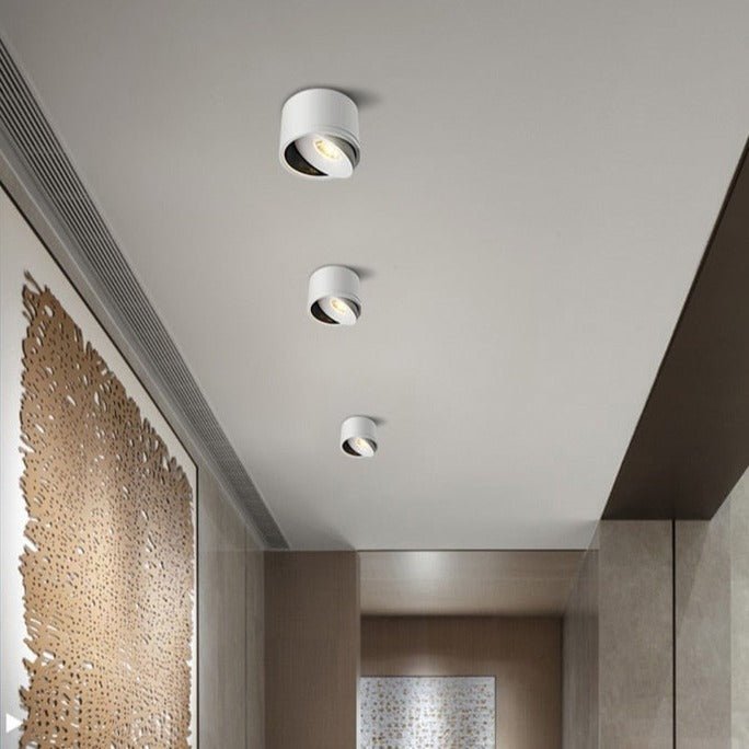 Sidra Ceiling Light - Open Box