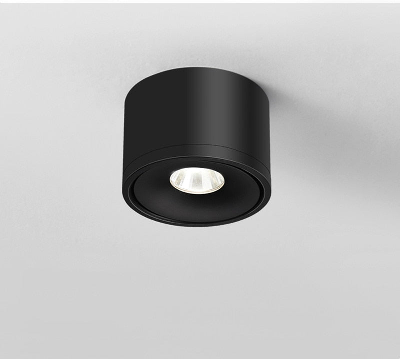 Sidra Ceiling Light - Open Box